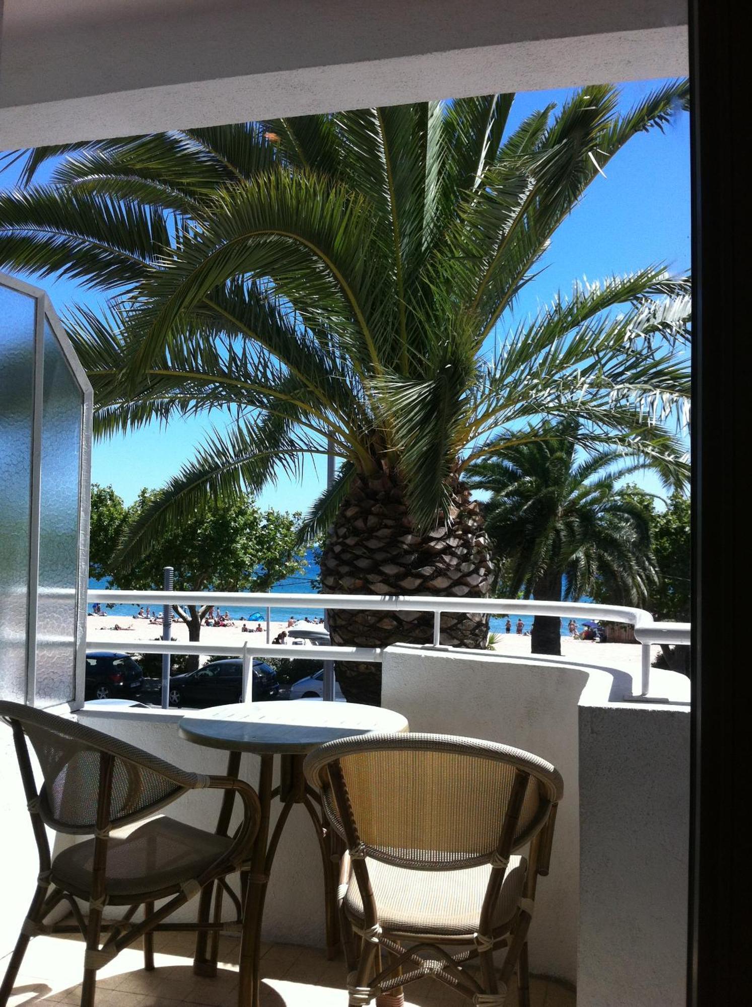 Les Palmiers